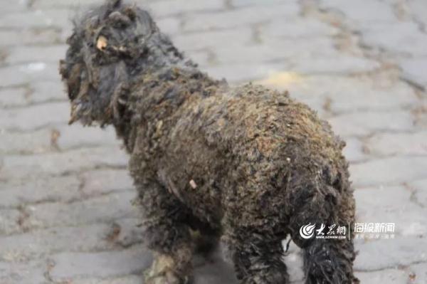 突發(fā)！青島一居民樓發(fā)生爆燃！已造1人死亡，7人受傷！3公里外有震感…