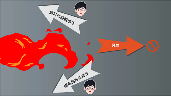 【動(dòng)畫】森林草原防火“十不準(zhǔn)”“五不燒”！這些安全知識(shí)要牢記